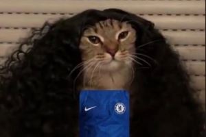 神似😂为库库雷利亚庆生，恩佐社媒晒猫咪cos库库照片